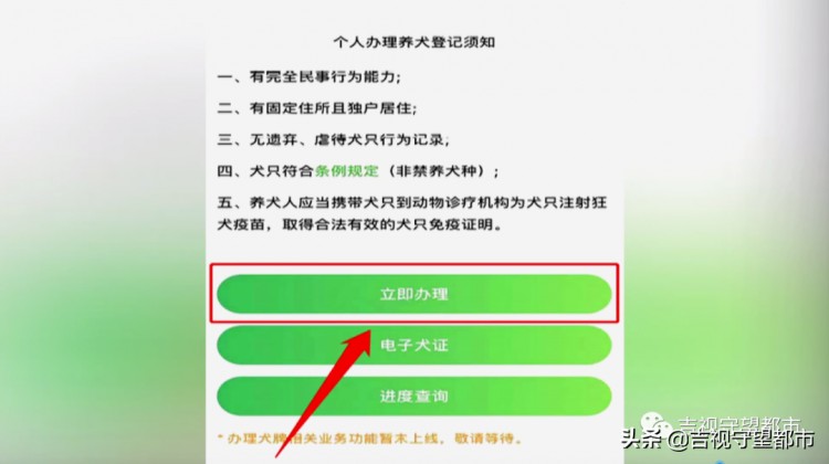 8月起《长春市养犬管理条例》实施附《养犬证》网上办理指南